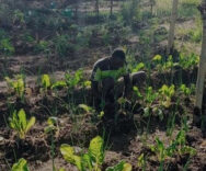 We fight life-threatening hunger in Karamoja.